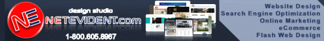   Los Angeles Web Design NetEvident 